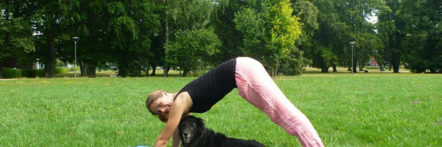 yoga für anfänger hund